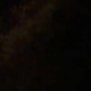 Meet your Posher, Mackenzie